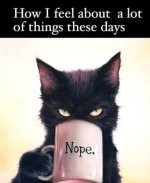 Nope.jpg