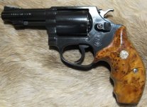 j thuya1.JPG