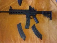 M&P 15-22.jpg