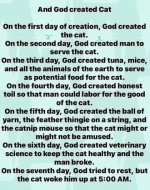 And God created cat.jpg
