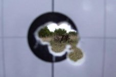 Target.jpg
