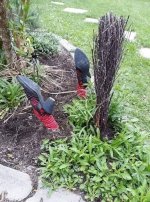 garden.jpg