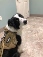 2023-06-01 Annual Vet Visit (8).jpg