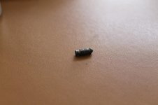 IMG_1007.jpg