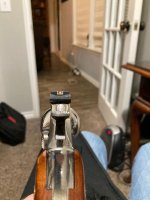 19-5 Nickel sights.jpg