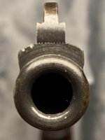 Muzzle closeup 6 inch.jpg