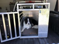 New Dog Box (1).jpg