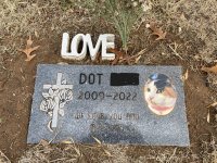 Dot 2.jpg