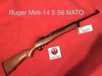 thumbnail (1)5.56 Ruger Mimi 14 E.jpg
