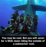 SEAL.jpeg