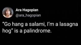 Salami palindrome.jpg