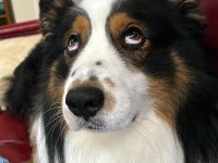 IMG_6124.jpg