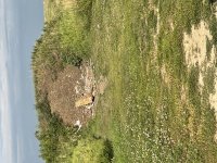 IMG-7533.jpg
