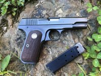 Colt 1903 - 17.jpg