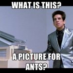 Ants 1.jpg