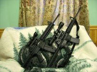 M & P 15 and M & P 15-22  pic 2 resize.jpg