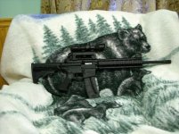 M & P 15-22 original with a NCstar 3x9x42 resize.jpg