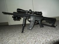 gunsized.jpg