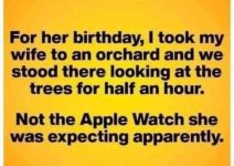 apple watch.jpg