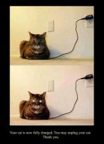 fully charged.jpg
