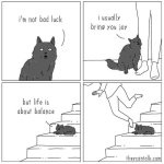 Black cat meme.JPG