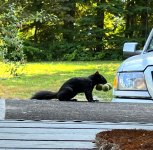 IMG_2197.jpg