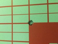 IMG_0169.jpg