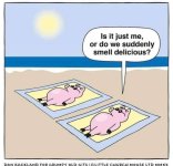 SMELL.jpeg