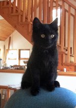 Smudge on chair_3226 copy.JPG