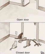 Open door:closed door.JPG