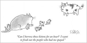 Can I borrow those kittens...?.jpg