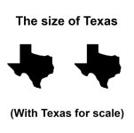 TEX.jpeg