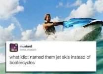 IDIOT.jpeg