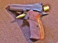 P210A Target - Copy.JPG