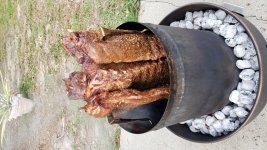 Orion Ribs.jpg