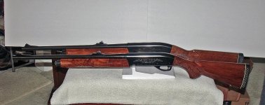 Remington 1100 Lt-20 pair-aa.jpg