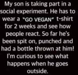 son vegan.jpg