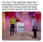 STARKAT.JPG