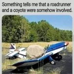 COY.jpeg