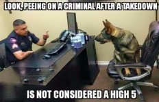 criminal.jpg