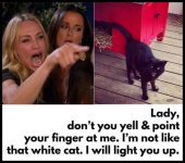 light you up.jpg