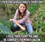 pig veggies.jpg