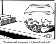 Fish funeral plans.jpg