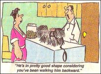 Shaggy dog at vet.JPG