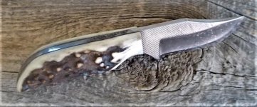 anza1.jpg