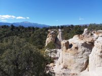 forum_Palmer-Park_1.jpg