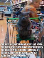 CatWine.jpg