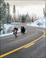 Meals on wheels in B.C..jpg