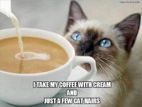 Coffee with cat hair copy.JPG