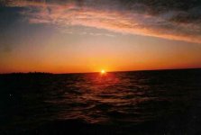Scan_20231020 (2).jpg